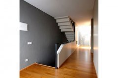 ANGLED HOUSE