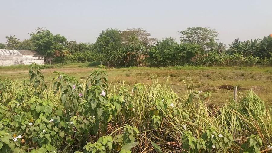 Dijual Tanah Di Bekasi - Ditemukan 2577 Penawaran Tanah 