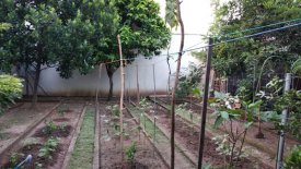 Rumah Dijual Citraland Cluster Royal Park 1 Surabaya ...